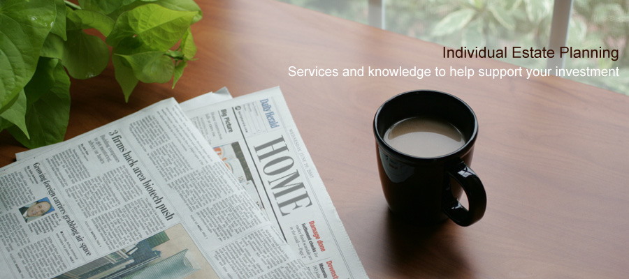 Individual estate planning
