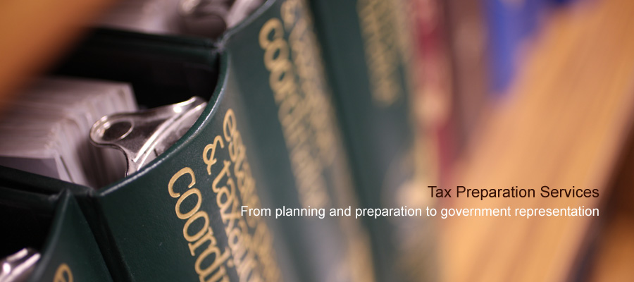 Corporate planning and preparation and government representation